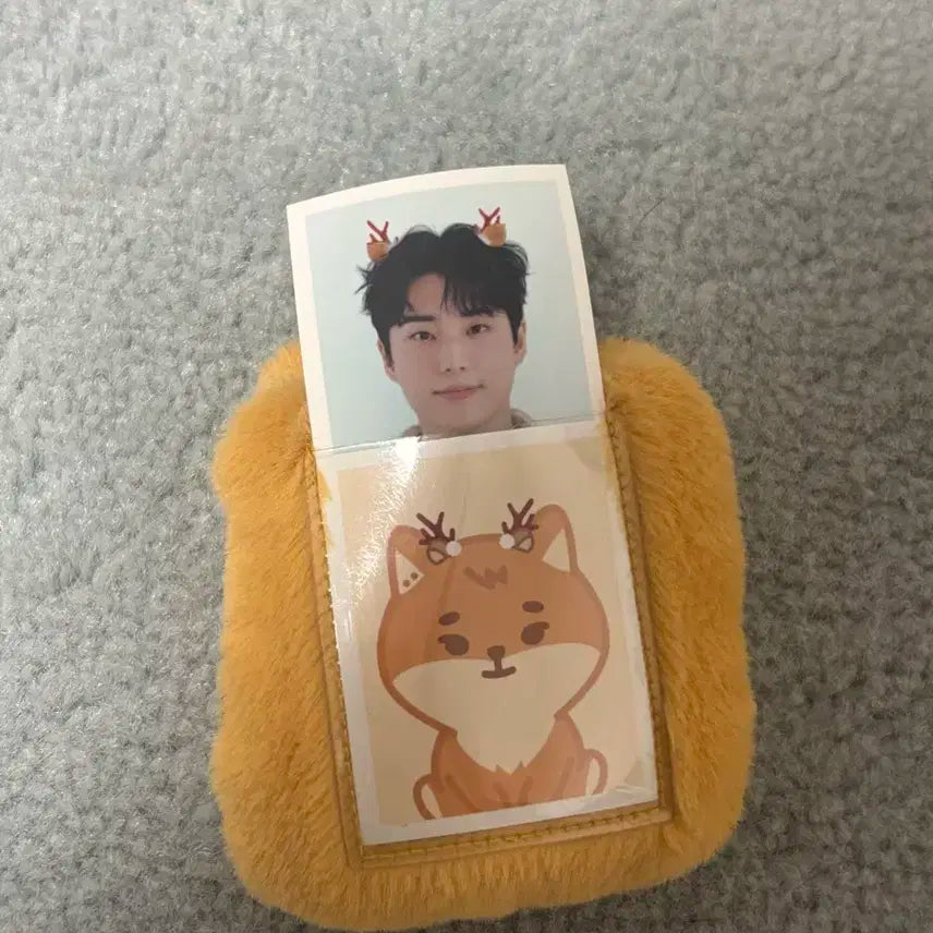 데니멀즈 id홀더 단순개봉 케