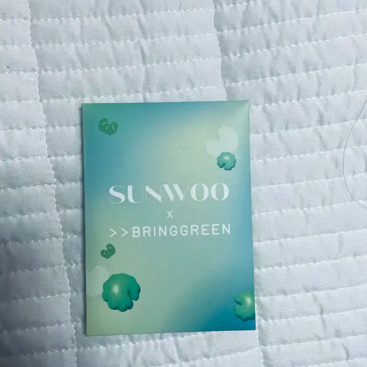 브링그힌 선우 포카세트