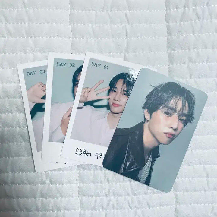 브링그힌 선우 포카세트