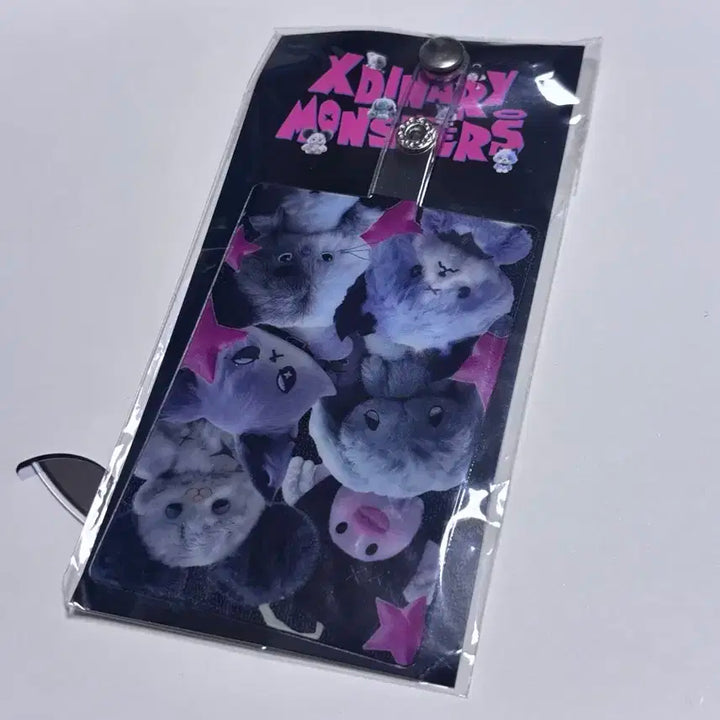 엑디즈 5/5 막콘 입장포카 + 폰탭 일괄