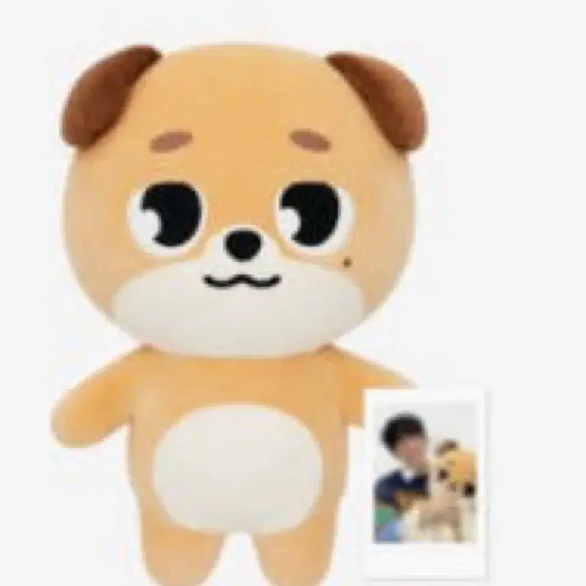 자이언트 데니멀즈 돈(짭폴라포함)