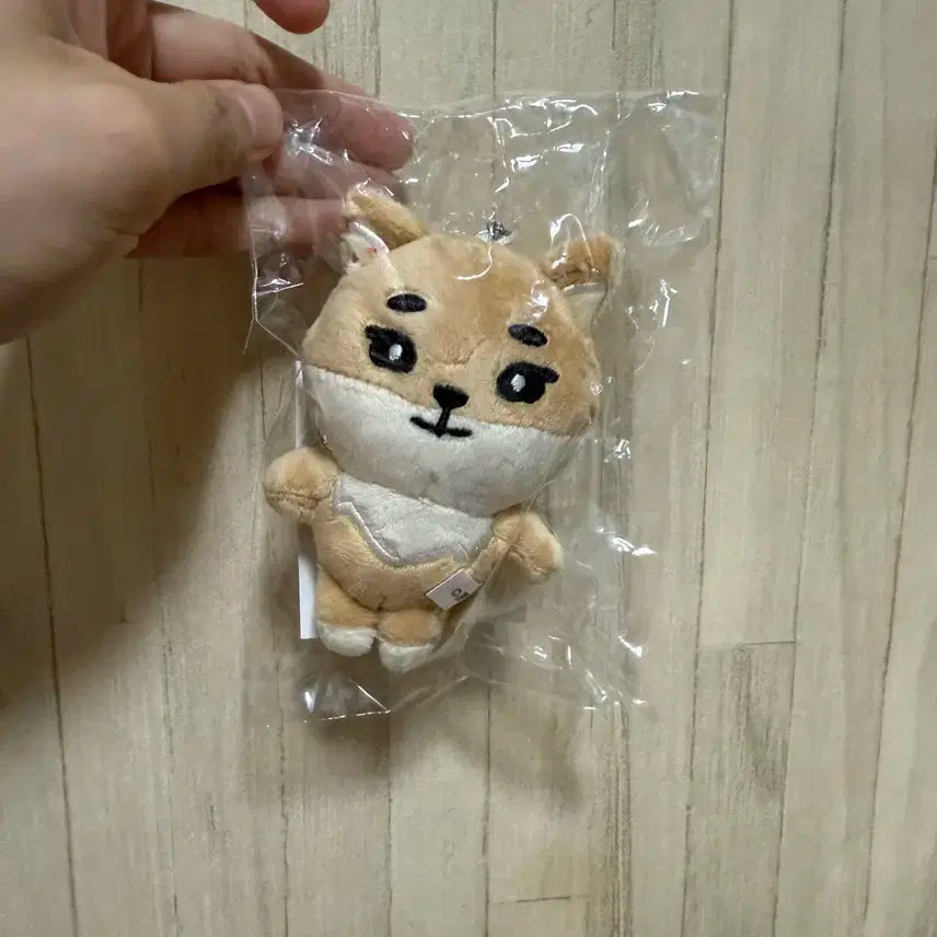 데이식스 데니멀즈 일본 공식MD 백참 케