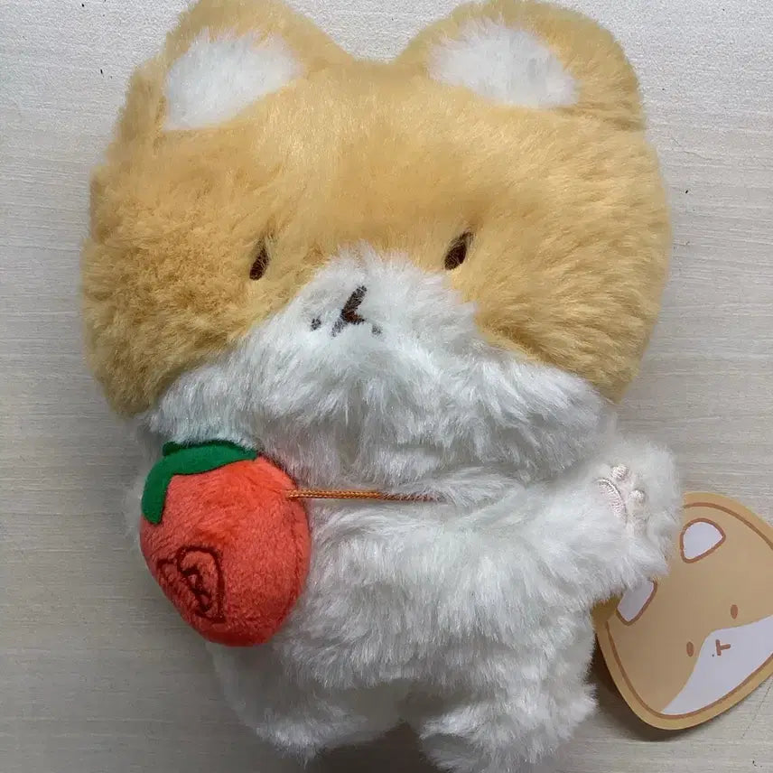 백현 터래기 인형