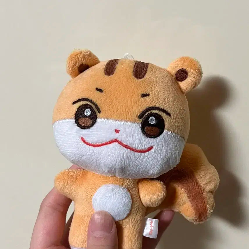 애니티즈 쭝라미 에이티즈 홍중 인형 판매