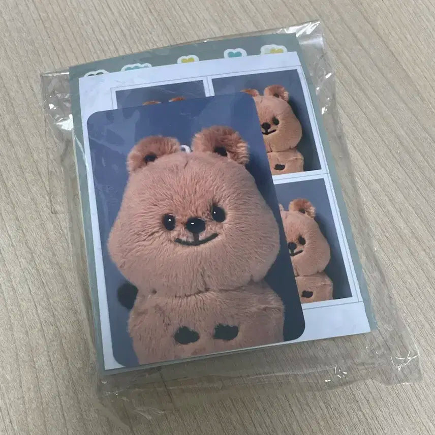 엔시티127 정우 쩡카 택포