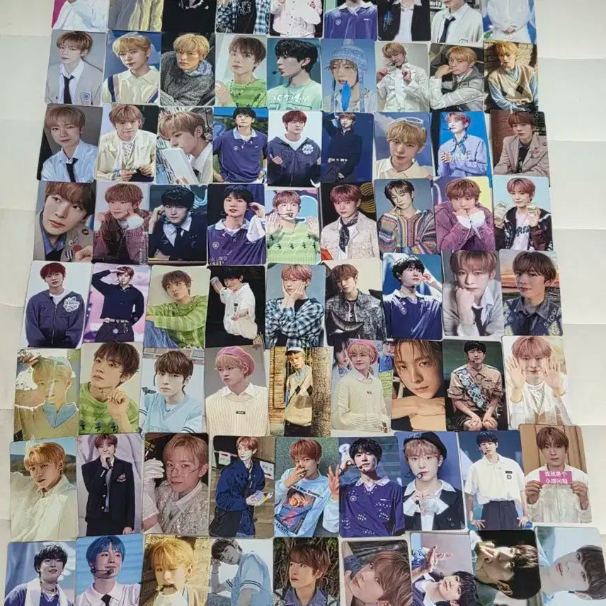 일괄 엔시티 위시 nct wish 유우시 비공 비공식 포카 포토카드