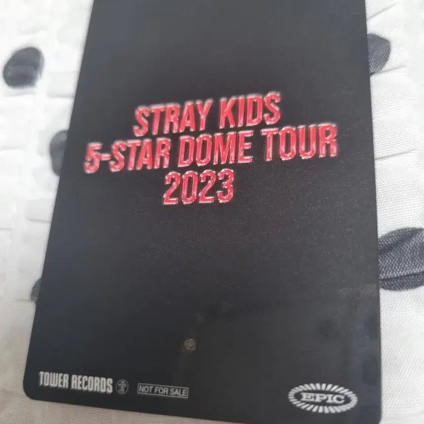 스트레이키즈 5star 돔투어 2023 타워레코드 포토카드