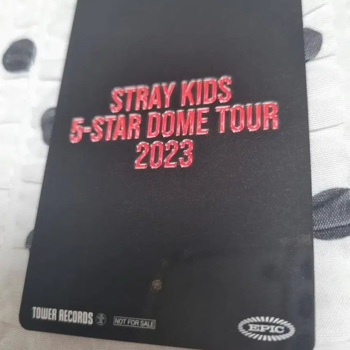 스트레이키즈 5star 돔투어 2023 타워레코드 포토카드