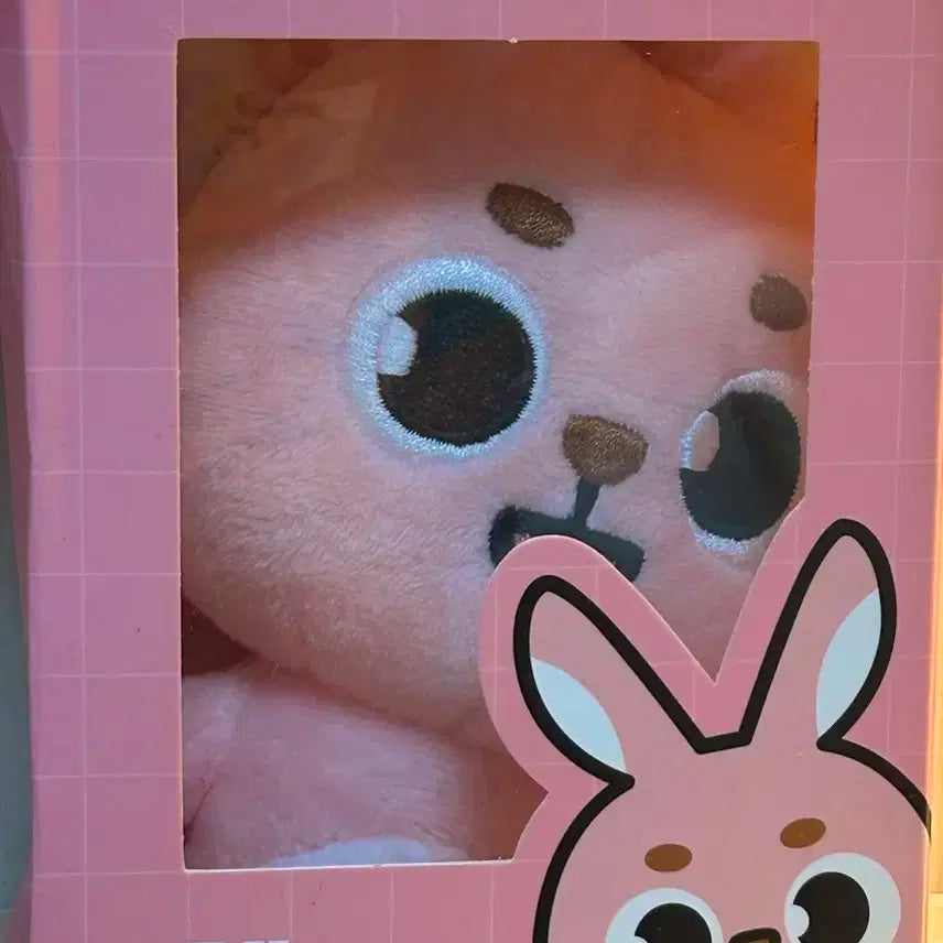 데이식스 데니멀즈 22필끼 박스,고리포함 외출x