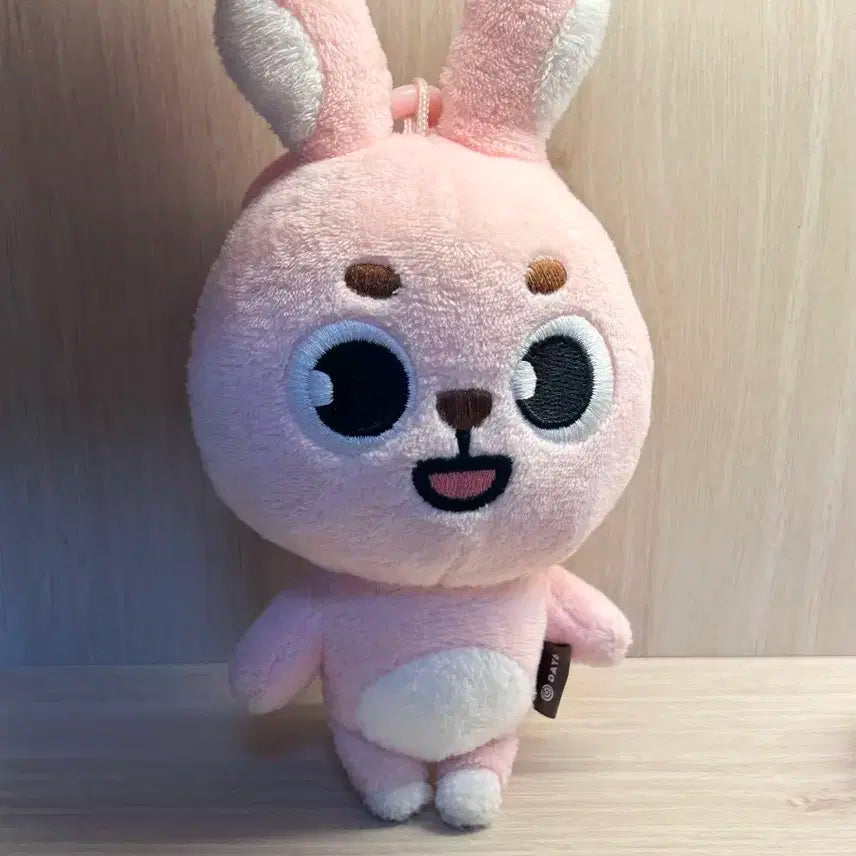 데이식스 데니멀즈 22필끼 박스,고리포함 외출x