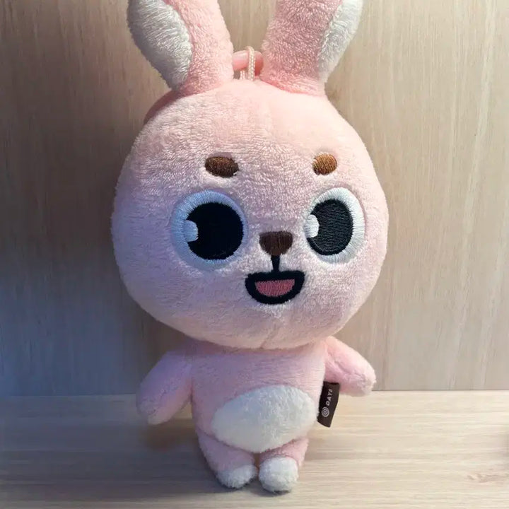 데이식스 데니멀즈 22필끼 박스,고리포함 외출x