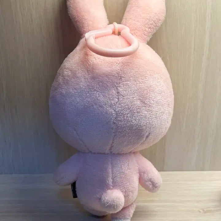 데이식스 데니멀즈 22필끼 박스,고리포함 외출x