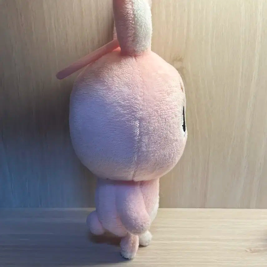 데이식스 데니멀즈 22필끼 박스,고리포함 외출x