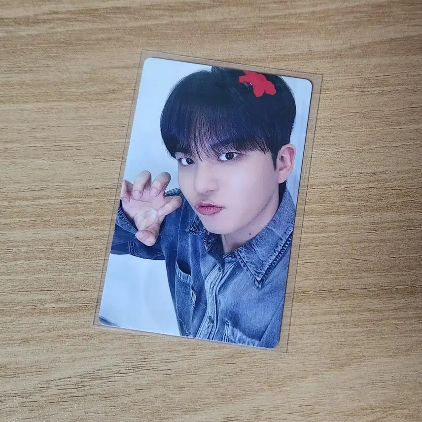에이티즈 종호 점프업 빠직 포카 미공포