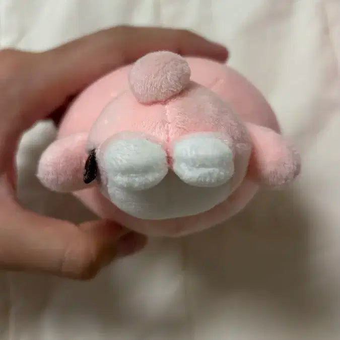 데니멀즈 24필끼