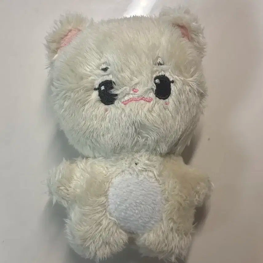 안땅콩 판매 / 아이브안유진가을레이장원영리즈이서투바투에스파