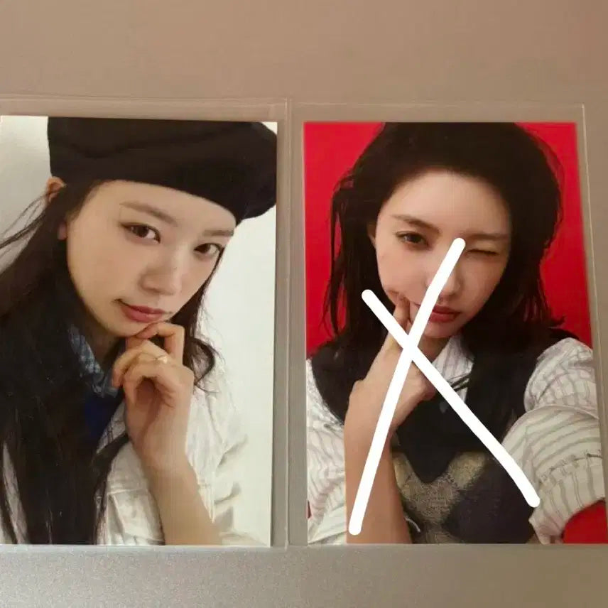 아일릿 모카 빌려온 고양이 사녹 포카 양도