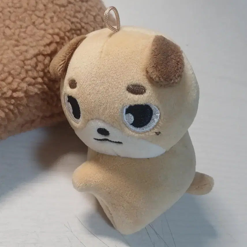 데이식스 데니멀즈 도운 돈 손난로 인형 양도