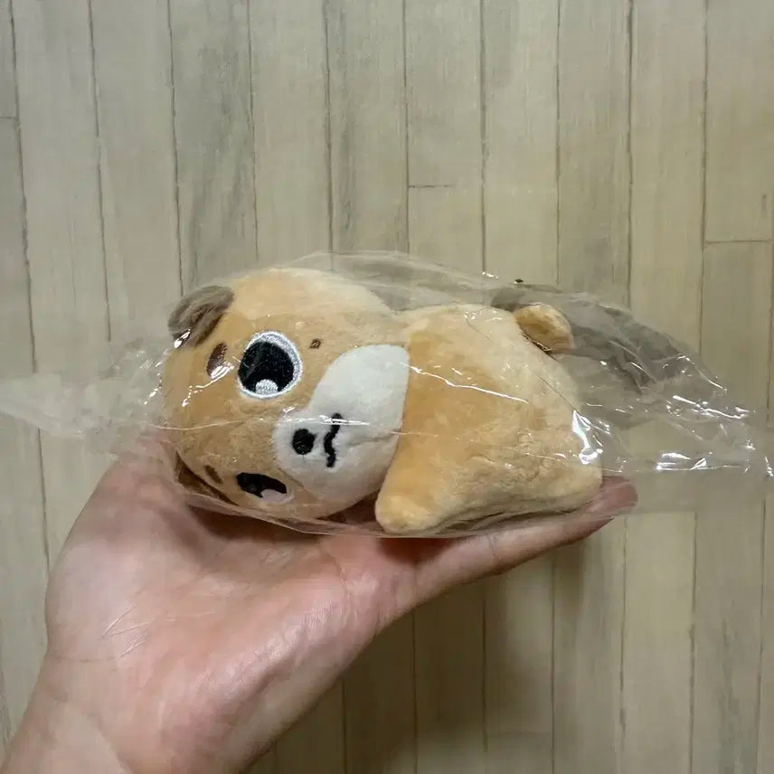 데이식스 손난로 인형 돈