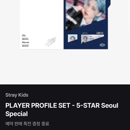 스트레이키즈 필릭스 프로필 세트 풀구성