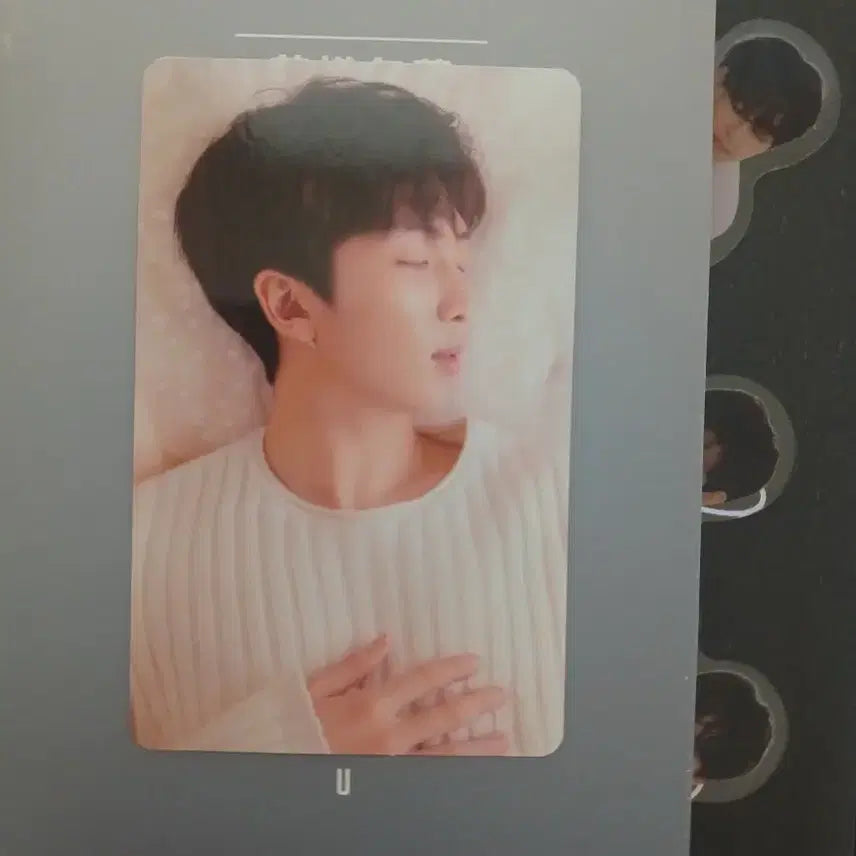 방탄 럽셀 티어 앨범과 포카