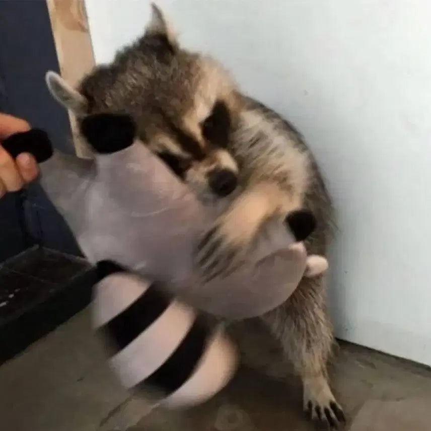 판매완료