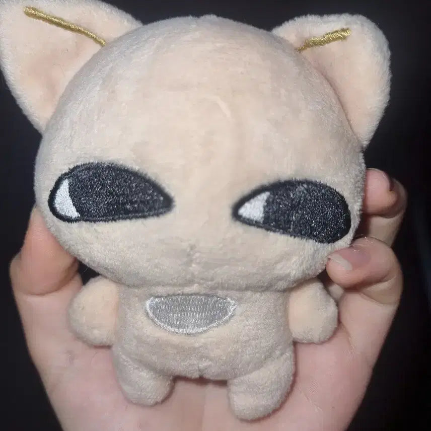 스키즈 양어린녀석 판매 양도