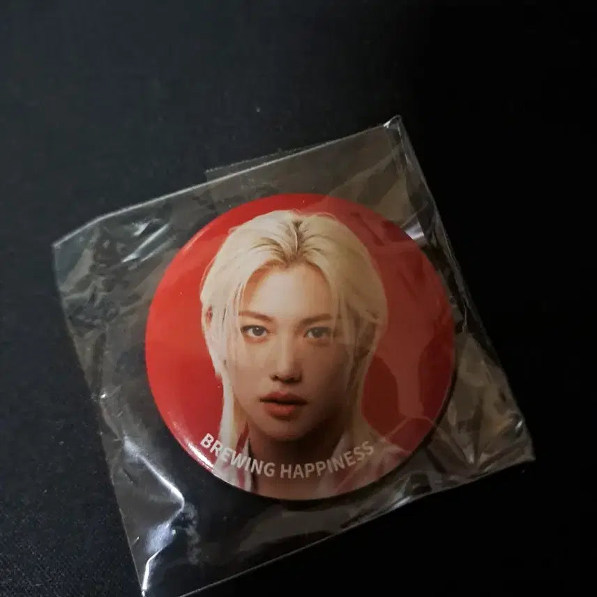 스트레이키즈 필릭스 공차 뱃지