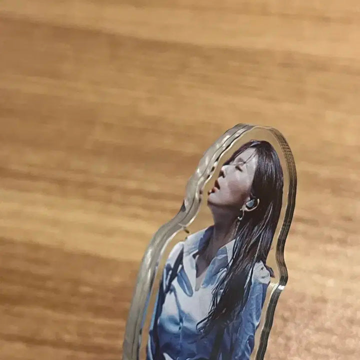 레드벨벳 슬기 피규어