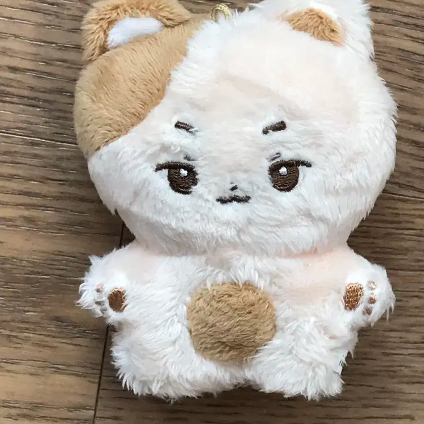 제베원 성한빈 한빈 10cm인형 양도