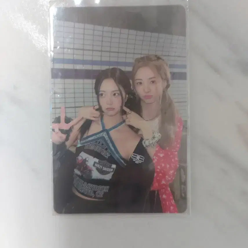 르세라핌 포카