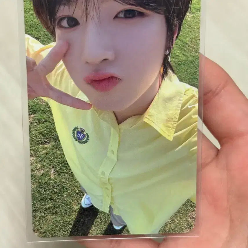 엔시티 위시 팝팝 디마뮤 사쿠야 포카 양도