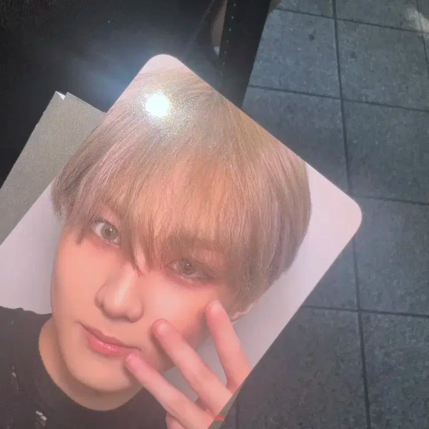 엔하이픈 배드디자이어 배디 정원 공방 포카