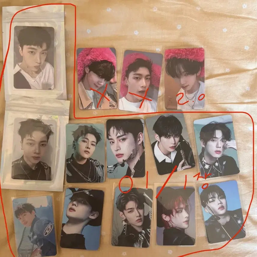 제베원 케타포 포카 럭드 핫핑크토끼 제로베이스원 포토카드 양도