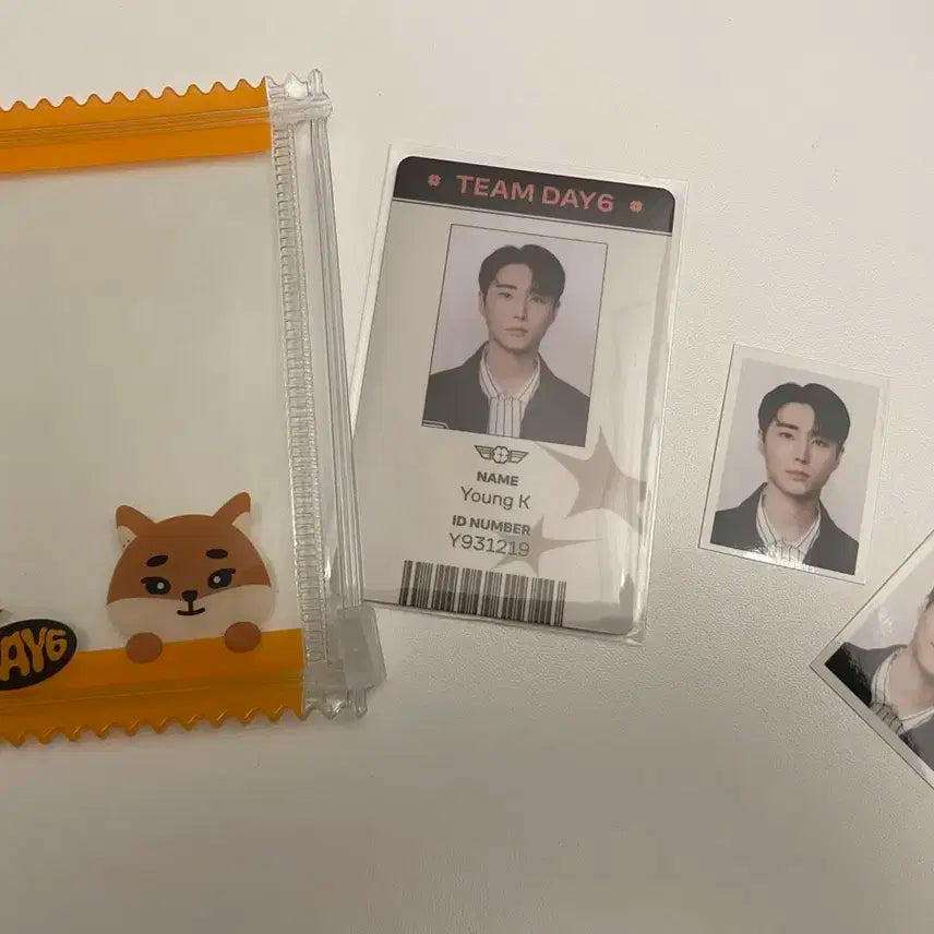데이식스 데니멀즈 팝업 영케이 라이렌스 증사