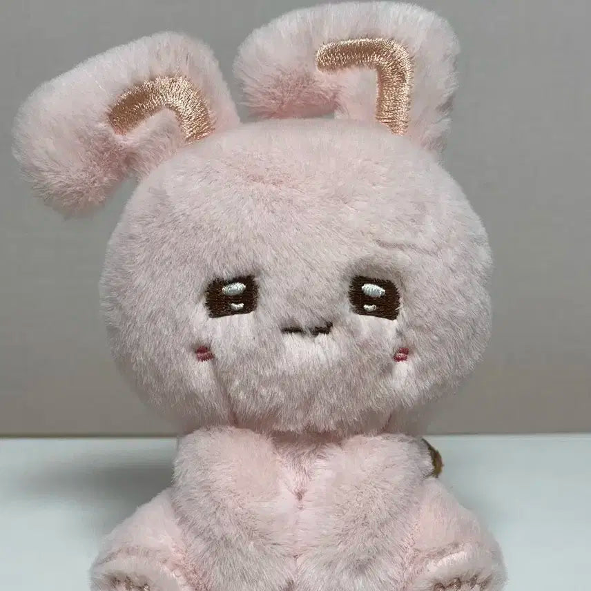 아이유 비공굿 인형 럭77ㅣ 판매합니다