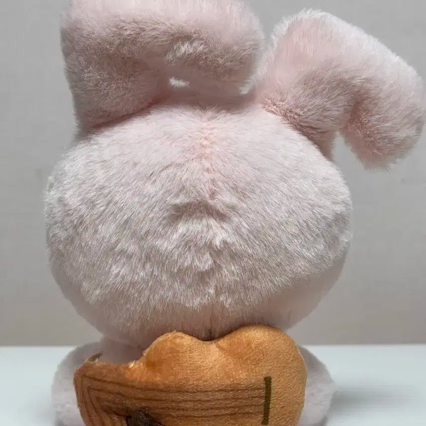 아이유 비공굿 인형 럭77ㅣ 판매합니다