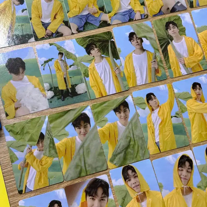 세븐틴 11th 미니앨범 캐럿반 (버논)