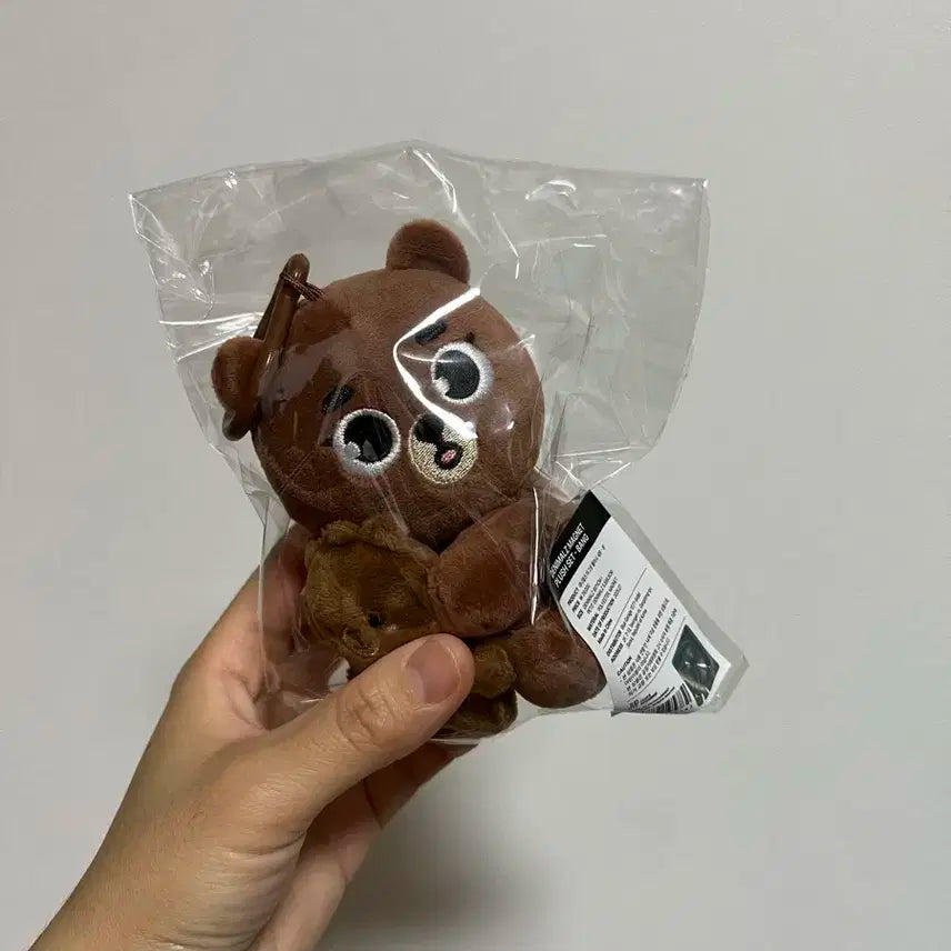데이식스 마그넷 데니멀즈 방