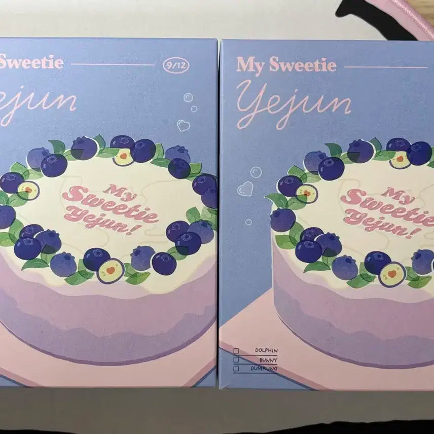 플레이브 2024 예준 생일키트 원가이하 양도