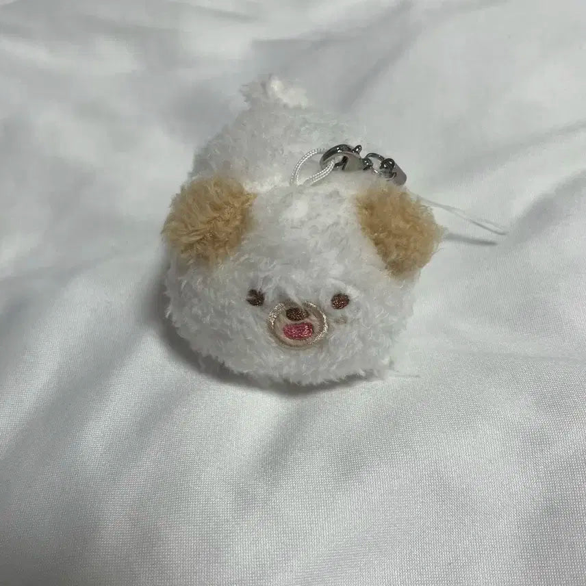 데이식스 돈 인형
