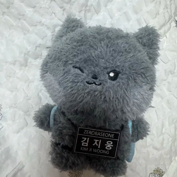 제베원 제로니 웅니니 메세지 키링 인형