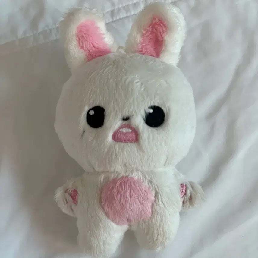 버니녕 팔아요