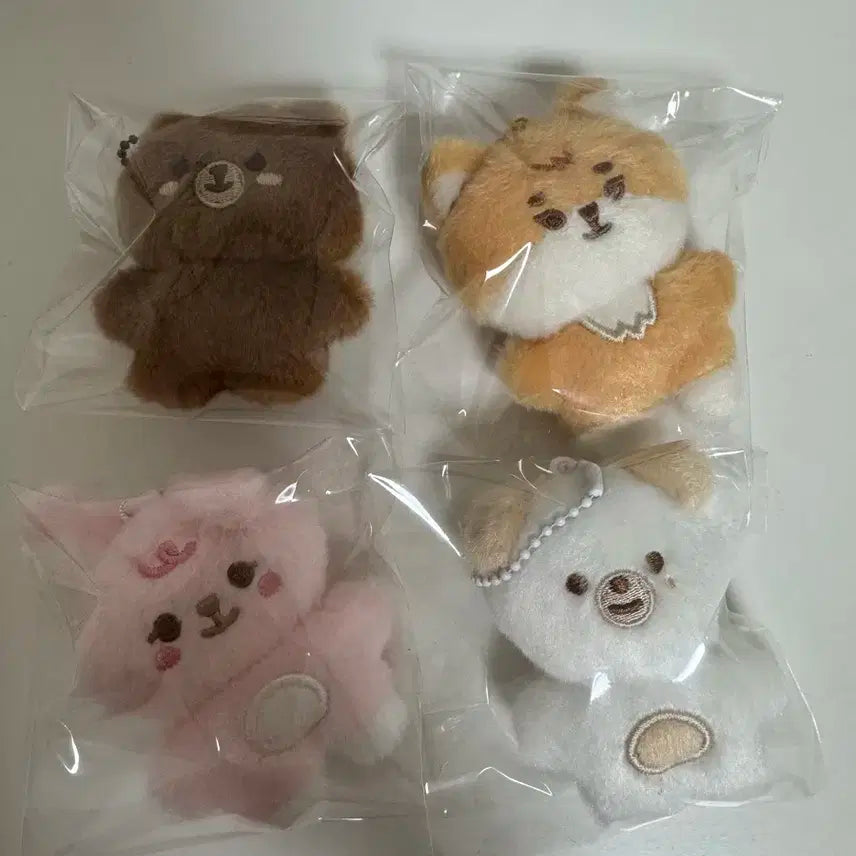 데이식스 쁘쁘멀