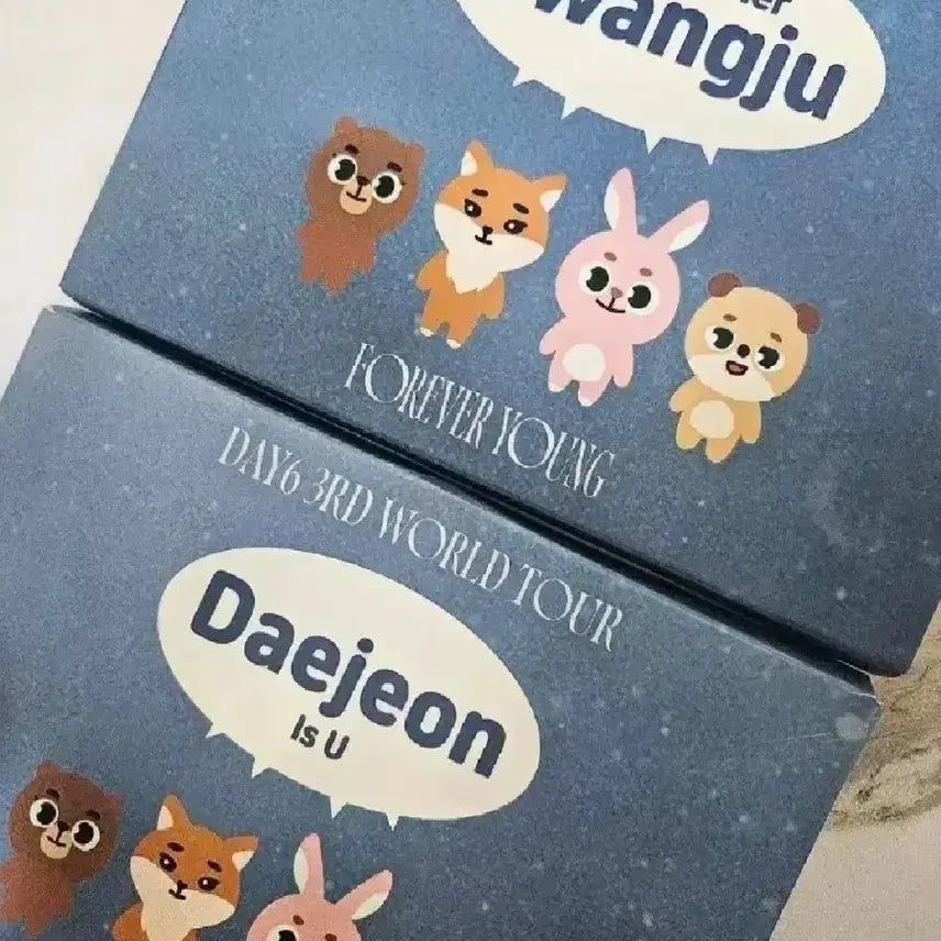 (일괄)데이식스 대전 광주 입장 키트