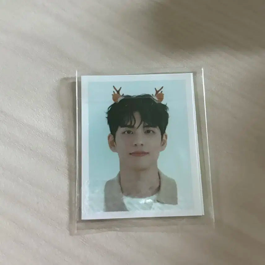 데이식스 쁘띠멀즈 포토홀더 원필 새상품 양도