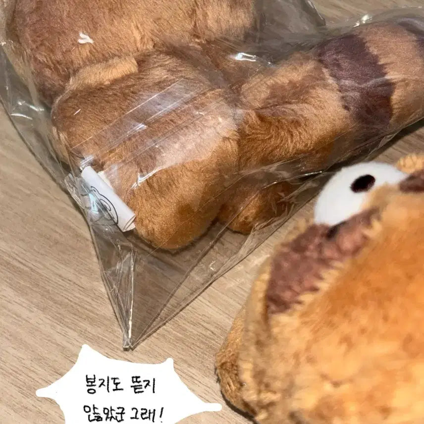 더보이즈 선우 인형 울망구리 미개봉