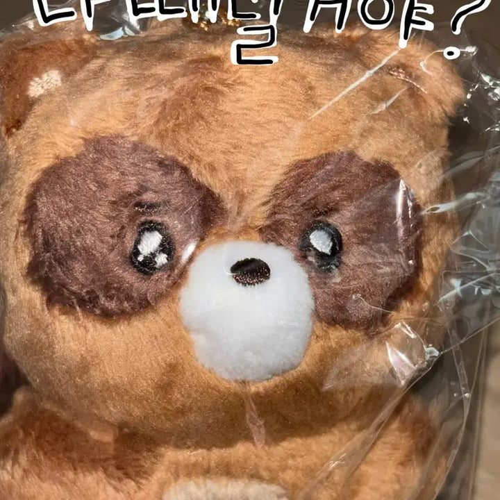 더보이즈 선우 인형 울망구리 미개봉