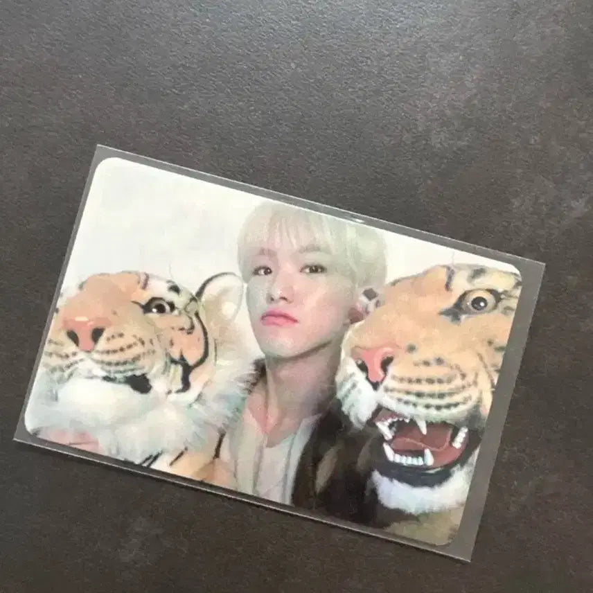 세븐틴 호시 2020 시즌그리팅 포카