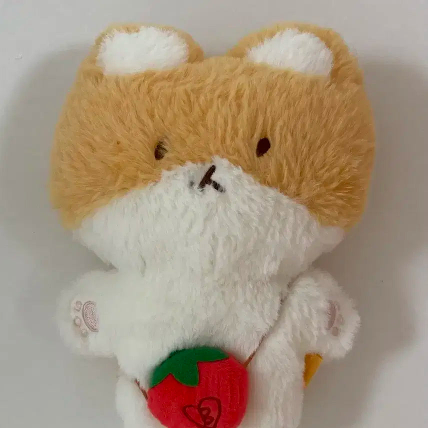 백현 터래기 20cm인형 (포카포함)